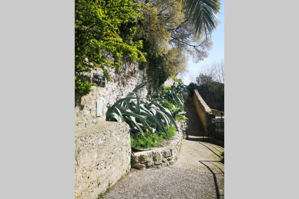 Donzère Maison De Village Meublee Avec Terrasse מראה חיצוני תמונה